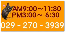 AM9:00～11:30  PM3:00～ 6:30