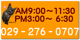 AM9:00〜11:30  PM3:00〜 6:30