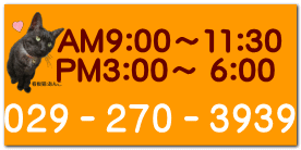AM9:00~11:30 PM3:00~ 6:00