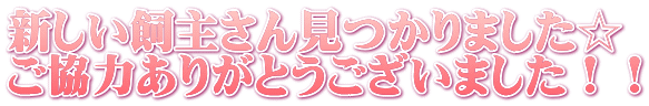 新しい飼主さん見つかりました☆ ご協力ありがとうございました!!