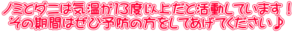m~ƃ_j͋C13xȏゾƊĂ܂I ̊Ԃ͂З\h̕ĂĂ